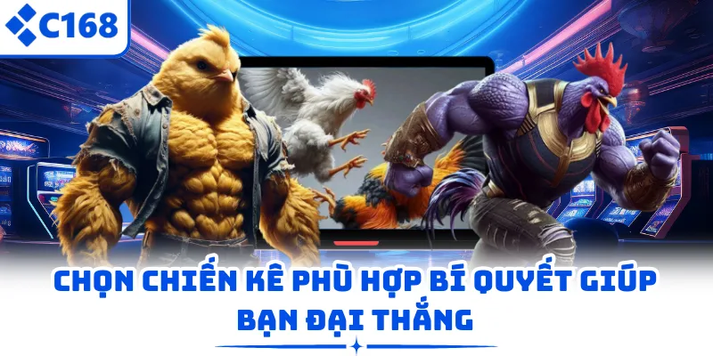 Chọn chiến kê phù hợp bí quyết giúp bạn đại thắng
