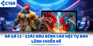 Đá Gà C1 - Giải Đấu Đỉnh Cao Hội Tụ Bản Lĩnh Chiến Kê